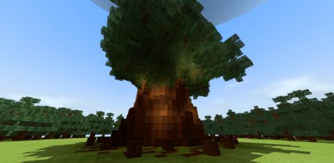 大樹 World Minecraft 日本マイクラ総合サイト