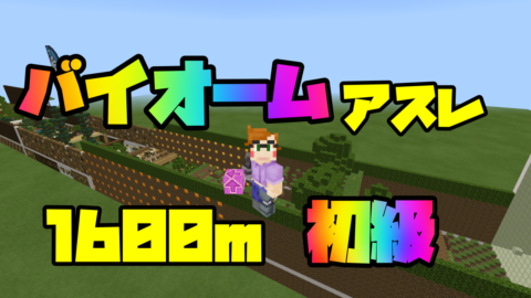 1600mバイオームアスレ初級 World Minecraft 日本マイクラ総合サイト
